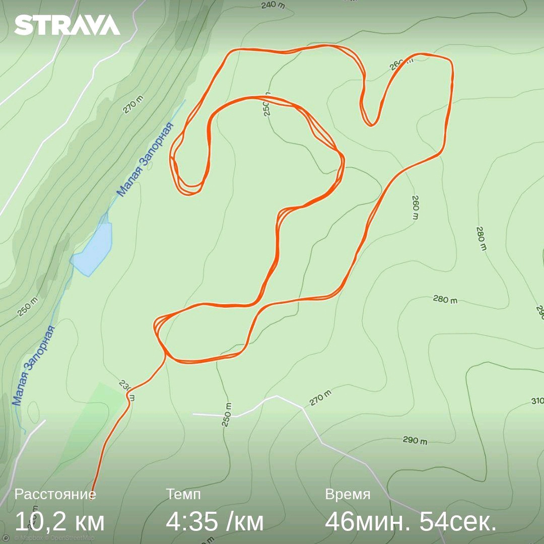 Новикова Наталья Сергеевна