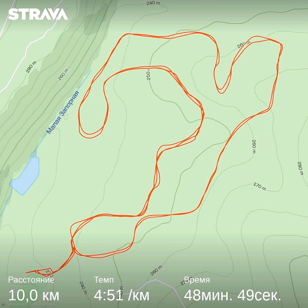 Шилова Надежда Витальевна