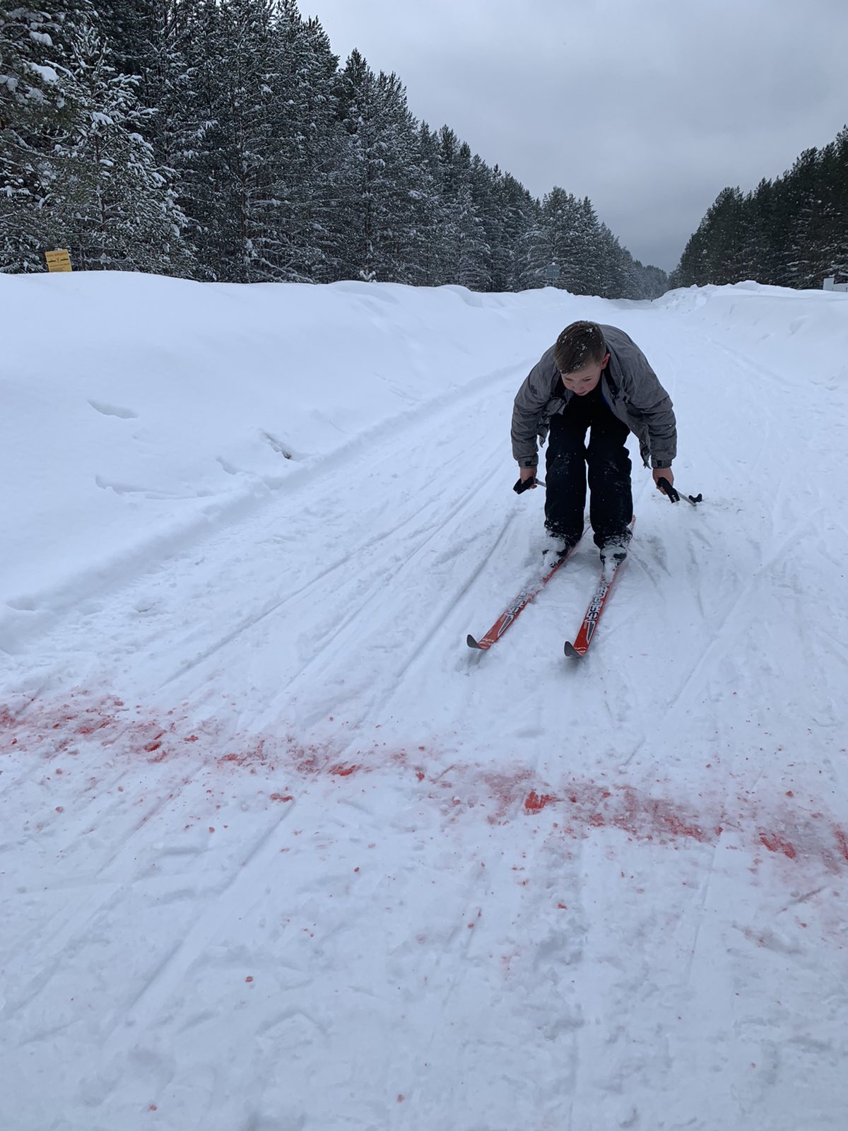 Заводчинский Владислав Викторович