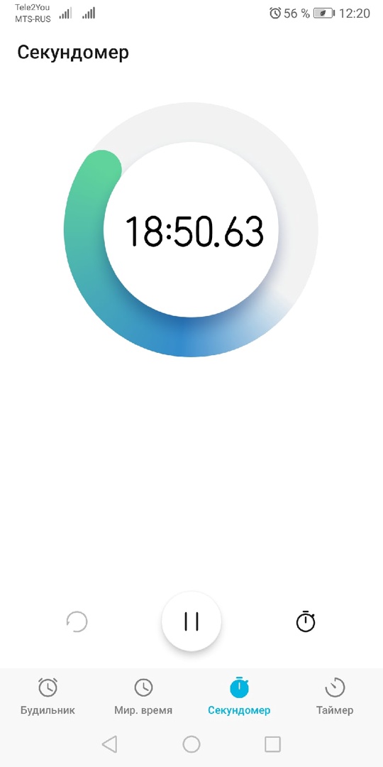 Кичигина Олеся Васильевна